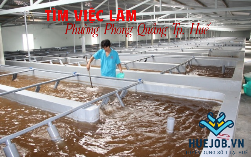 phường phong quảng