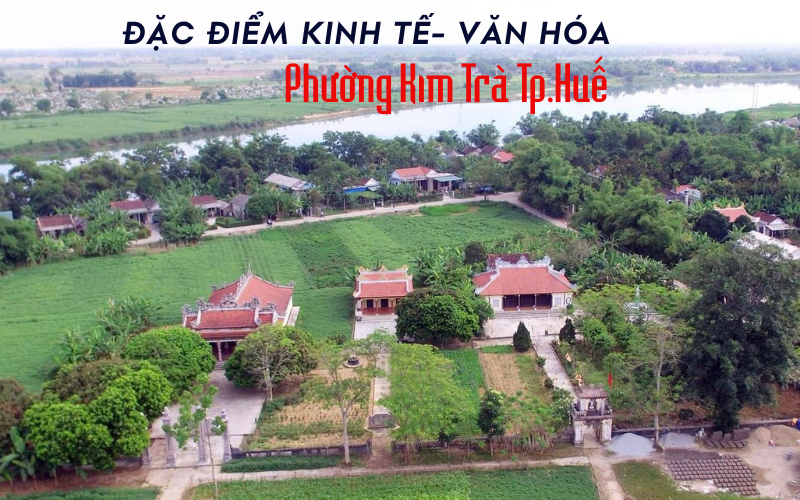 phường kim trà