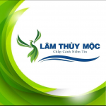 CÔNG TY CỔ PHẦN ĐỊA ỐC LÂM THUỶ MỘC